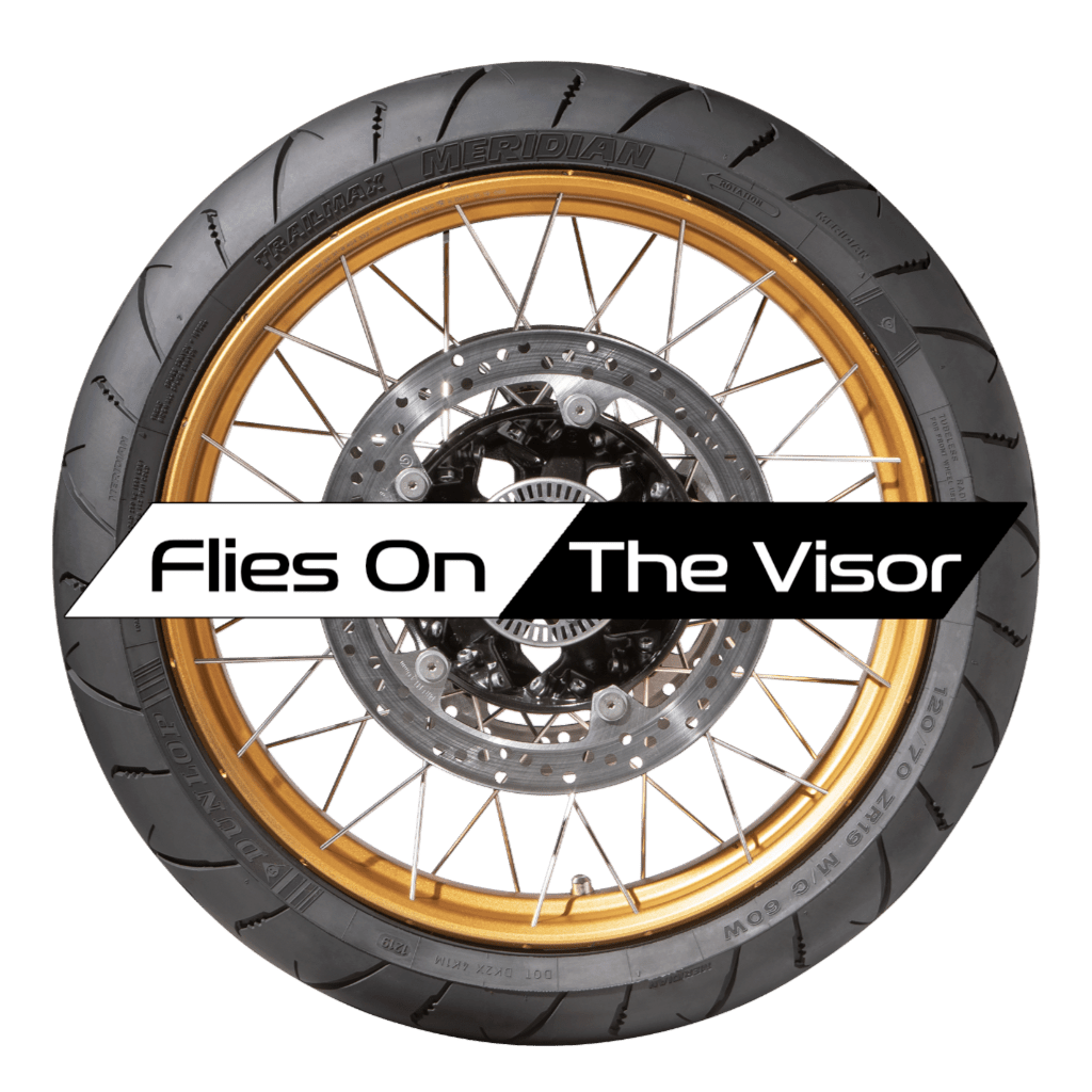 Flies on the Visor