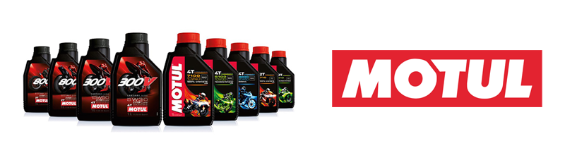 Motul Motor Oils - Flies On The Visor