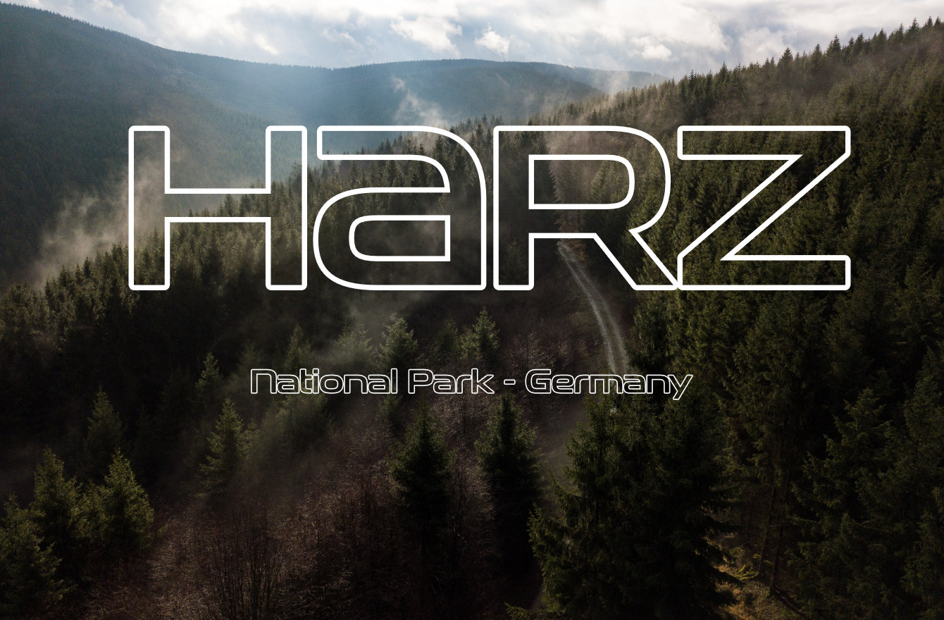 Harz Forest Germany