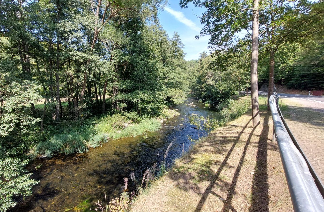 Harz National Park