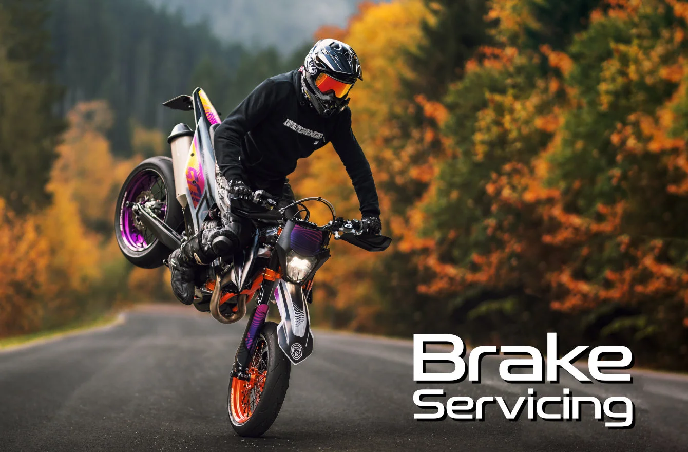 Brake Servicing - Flies On The Visor